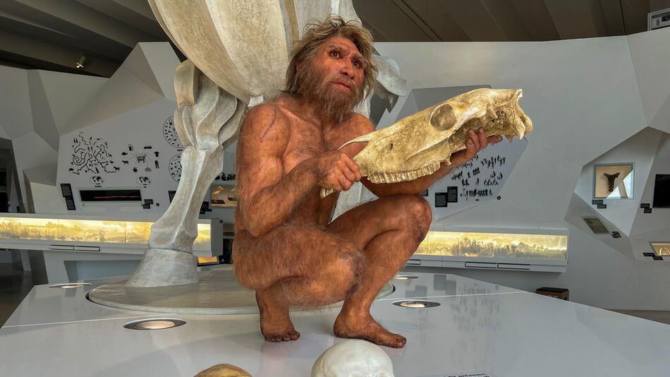 Homo heidelbergensis im Forschungsmuseum "paläon"