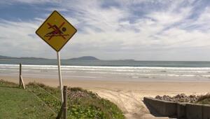 Hai tötet Frau und verletzt Mann schwer