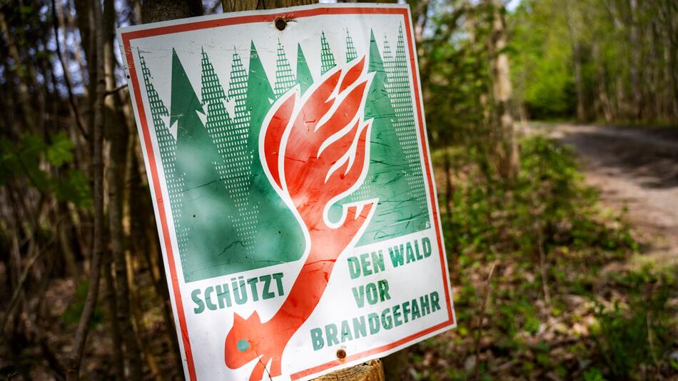 Schild mit der Aufschrift "Schütz den Wald vor Brandgefahr"