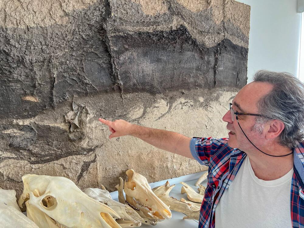 Der Archäologe Dr. Jordi Serangeli zeigt auf ein Bodenrelief