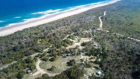 Haiattacke in Australien