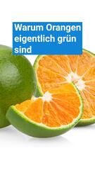 Warum Orangen eigentlich grün sind