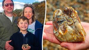 Spektakulärer Fund am Strand: Elfjähriger entdeckt Urzeit-Elefantenzahn