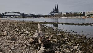 Niedrigwasser am Rhein in Köln