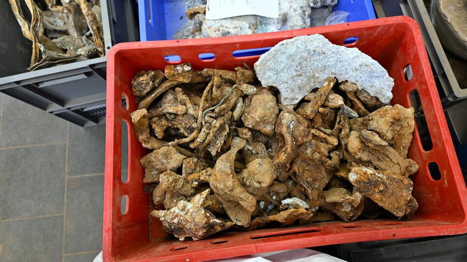 Bomber aus dem Zweiten Weltkrieg gefunden
