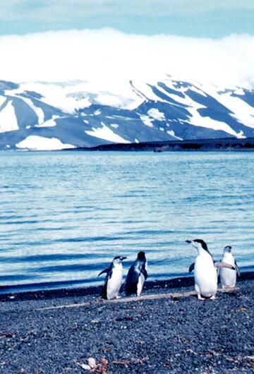 Deception Island