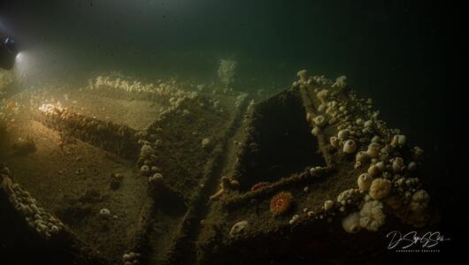 Von deutschem U-Boot versenkt: Forscher tauchen zu Wrack