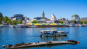 Seelöwen auf einem Steg im Valdivia-Fluss vor Valdivia