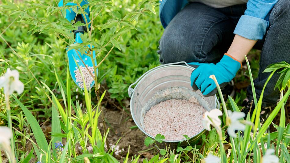 Rasen düngen bei Regen – was Sie beachten müssen