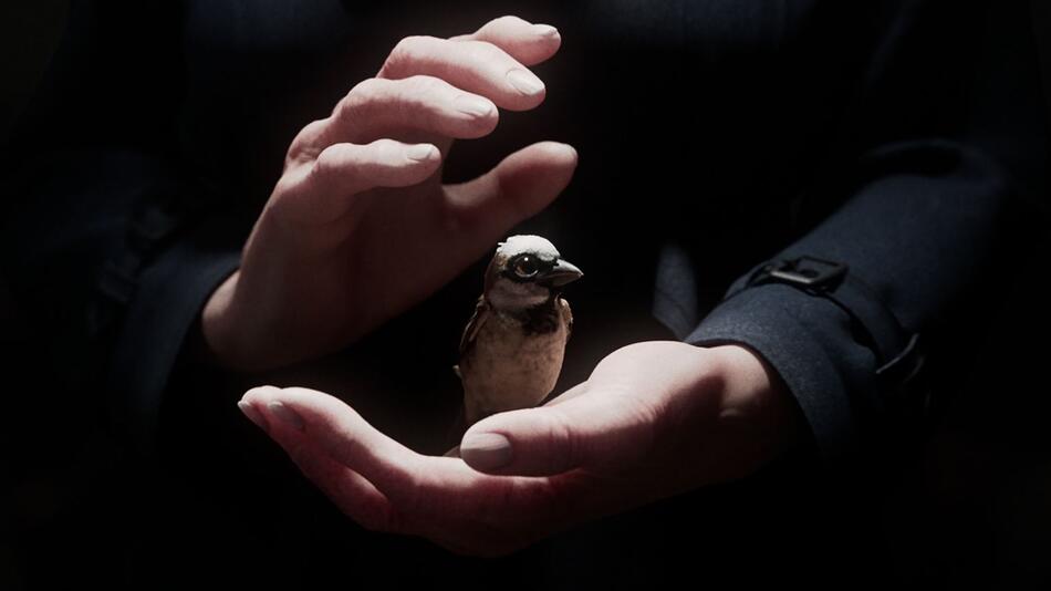Kurzfilm "A Sparrow's Song"