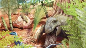 Dimetrodon teutonis, der Unverdauliches erbricht. 