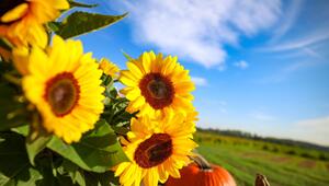 Wetter in Nordrhein-Westfalen