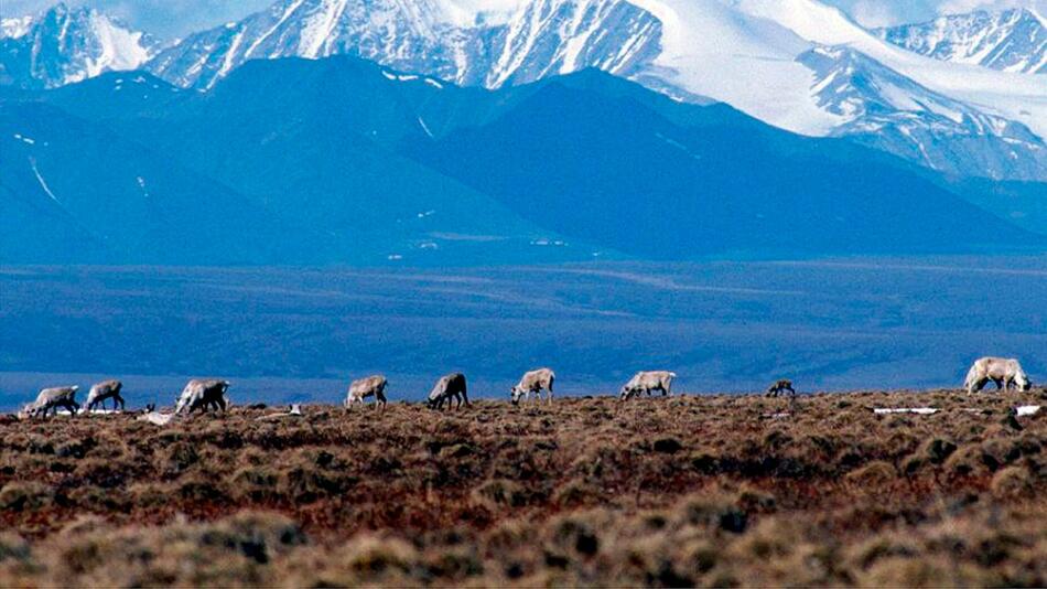 Natur in Alaska