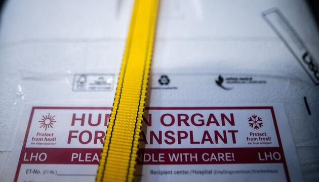 Illustration - Organspende