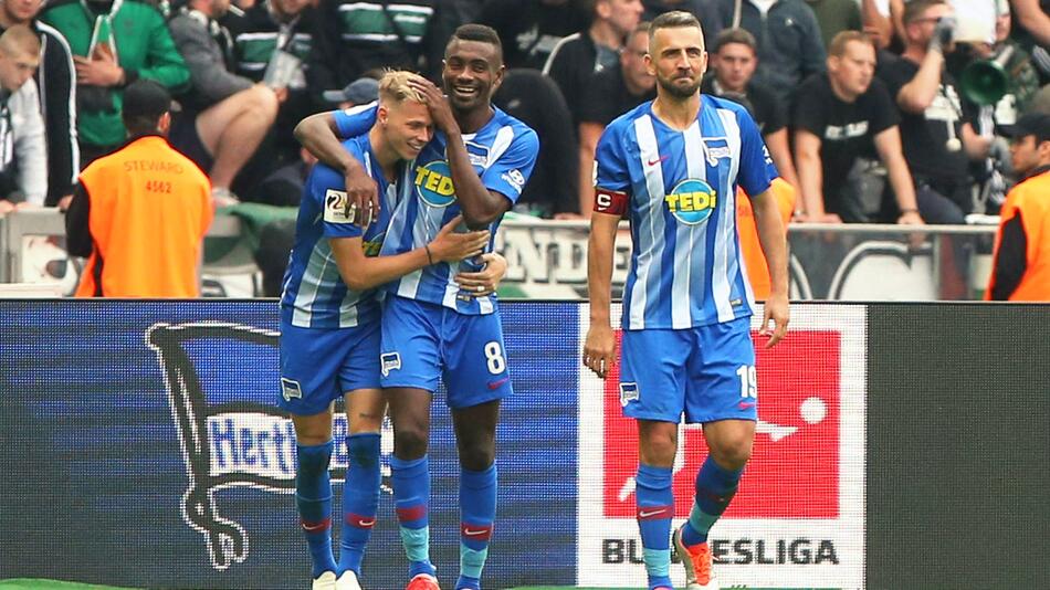 Fussball, Bundesliga, Hertha BSC, Duda, Kalou, Ibisevic