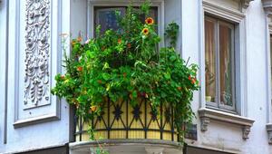 Sichtschutz Balkon