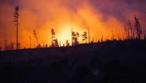 Rauch steigt bei einem Brand in einem Waldstück der Saalfelder Höhe