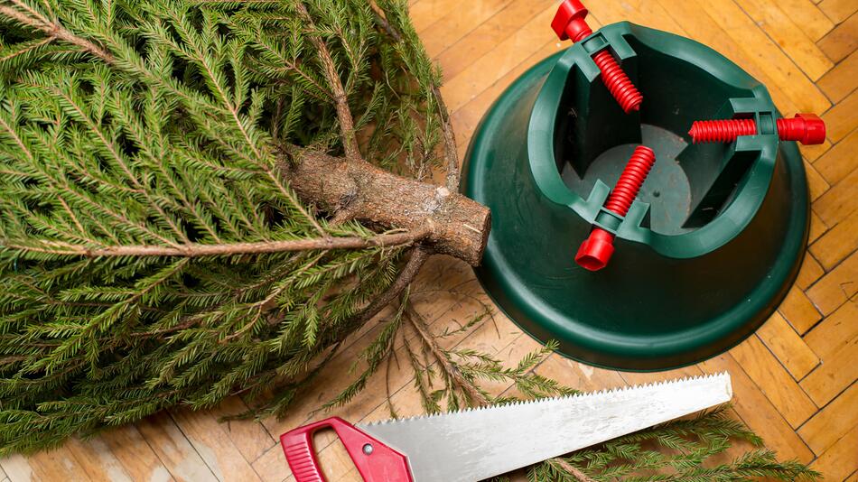 Weihnachtsbaum aufstellen Dieser Handgriff schadet der Tanne GMX.CH