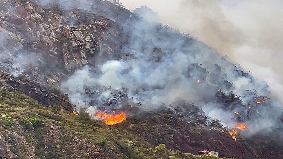 Grossbrand auf Arthur's Seat in Edinburgh verwüstet Lebensraum von Wildtieren