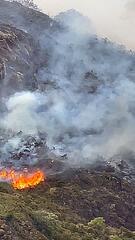 Grossbrand auf Arthur's Seat in Edinburgh verwüstet Lebensraum von Wildtieren