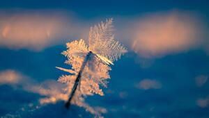 Eisiger Wintermorgen