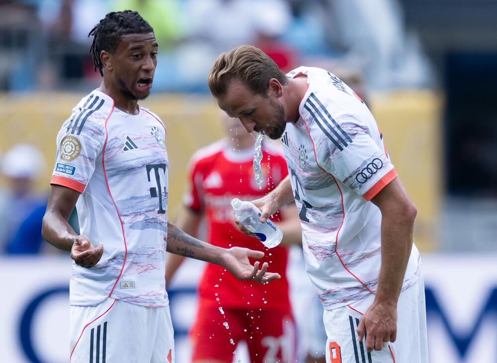 Benfica Lissabon - Bayern München