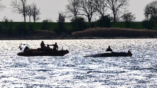 Rettungsteam und Wal