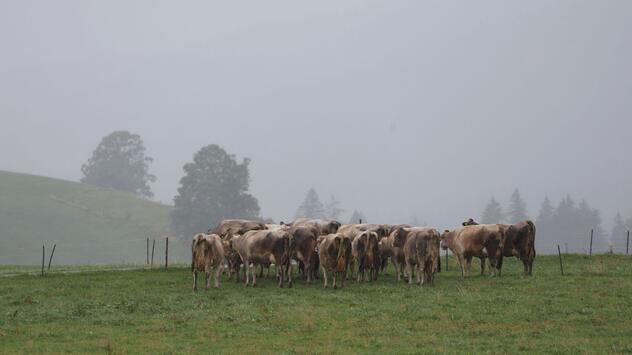 Wetter in Bayern