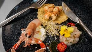 Scampi-Trilogie von David Žilić