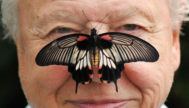 David Attenborough wird 100