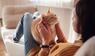 Katze, Haustiere, Haltung, Mythen