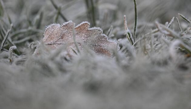 Morgenfrost in Baden-Württemberg