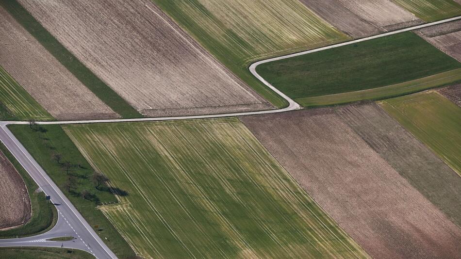 Bericht zur Lage der Natur