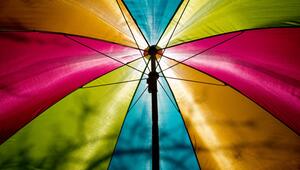 Sonnenschirm steht in einem Garten