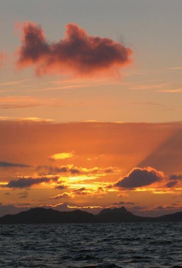 Wolke Himmel Fisch