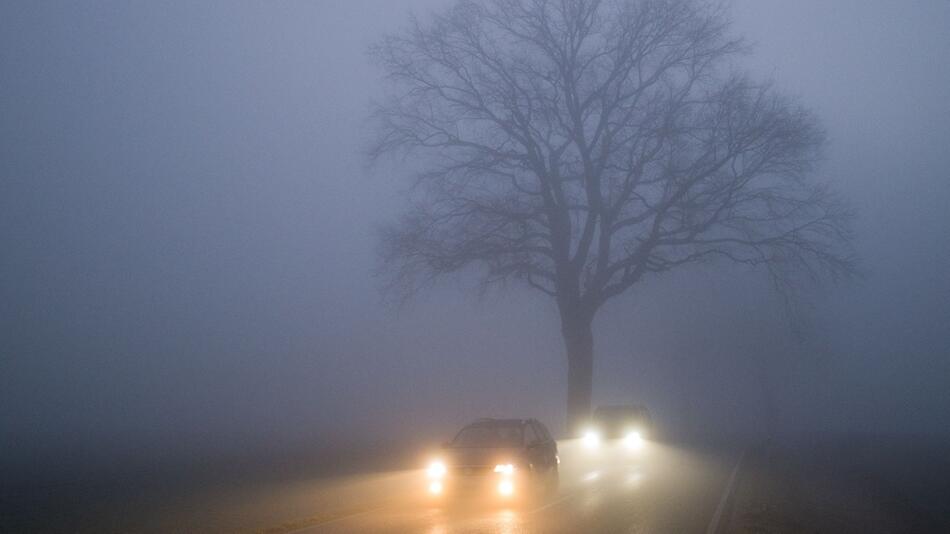 Lichthupe im Nebel
