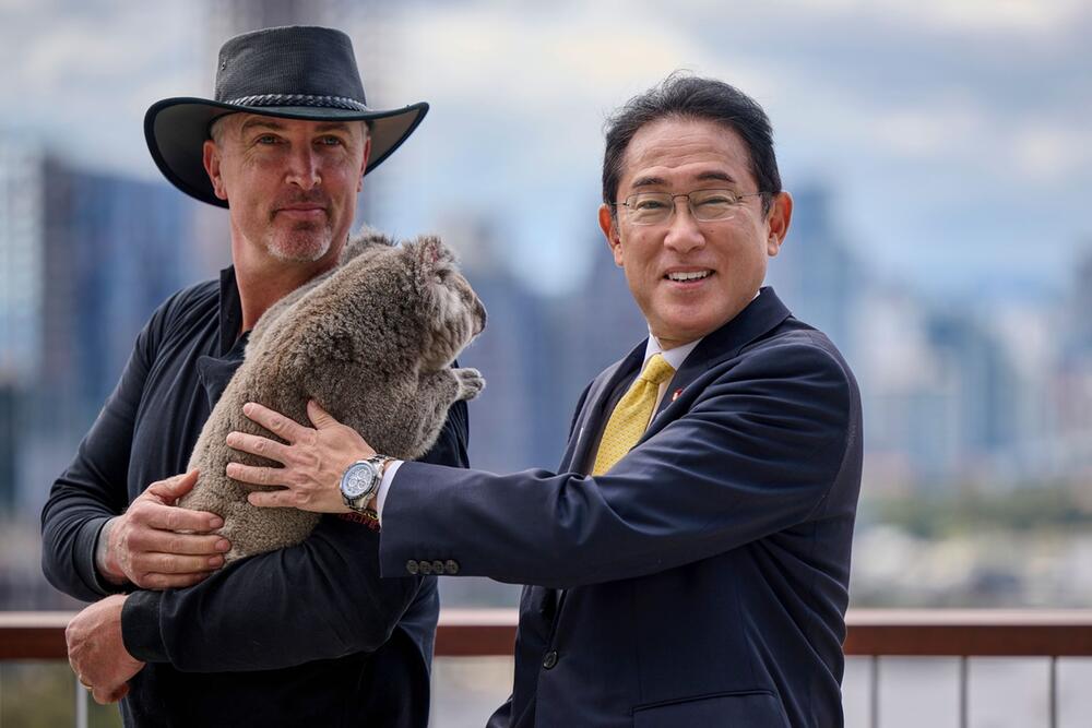 Japans Premierminister Kishida im Koala-Schutzzentrum