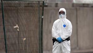Hantavirus-Ausbruch - Teneriffa