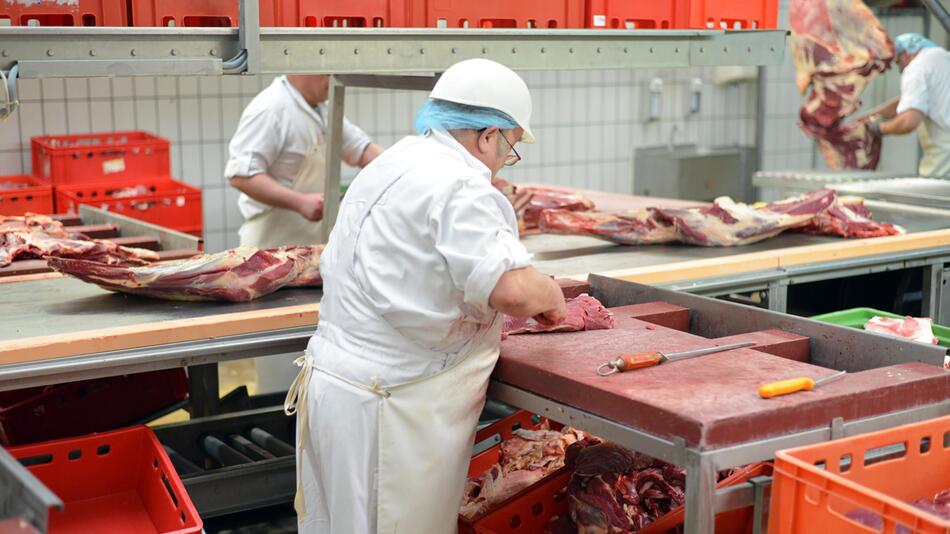 Fleischindustrie