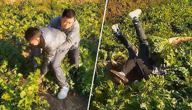 Gemüse leistet Widerstand – Männer kämpfen gemeinsam mit Riesen-Rettich