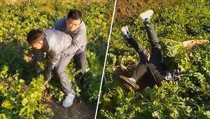 Gemüse leistet Widerstand – Männer kämpfen gemeinsam mit Riesen-Rettich