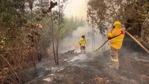 Mindestens 19 Tote nach Waldbränden in Chile 