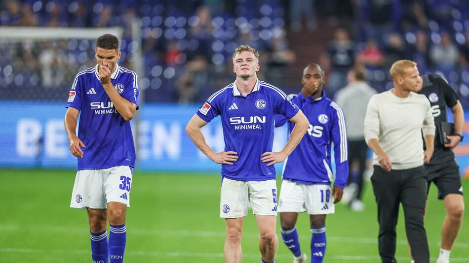 FC Schalke 04 - Darmstadt 98