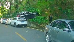 Rückwärts einparken ist nicht einfach – Autofahrerin schiesst Böschung hinauf