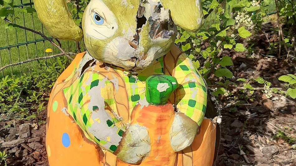 Waschbären-Nachwuchs im Osterhasen