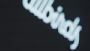 Sportschuhherstellers Allbirds