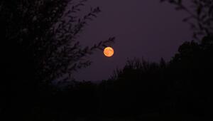 Vollmond