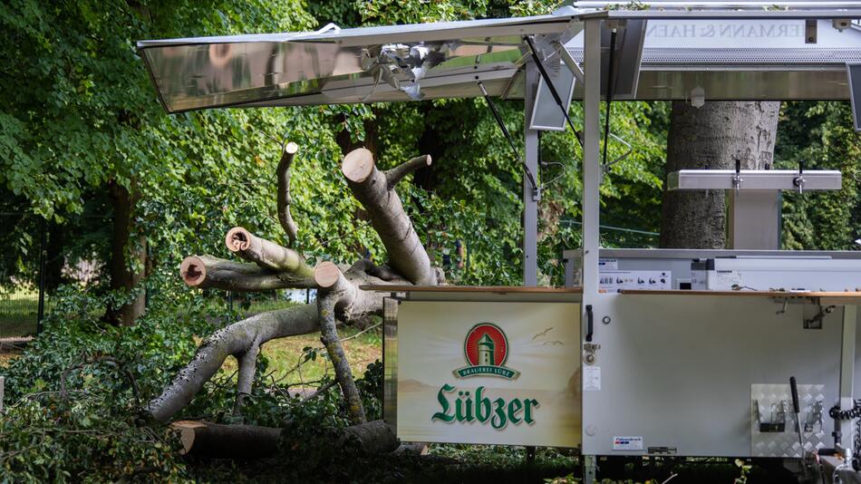 Grosser Ast stürzt bei Open Air herab - Verletzte