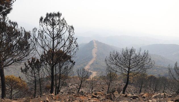 Waldbrand in Spanien