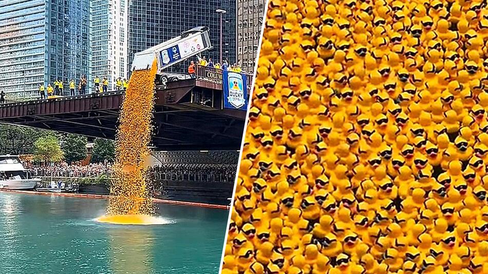 Plastikschwemme für guten Zweck: Über 75.000 Quietscheenten fluten den Chicago River